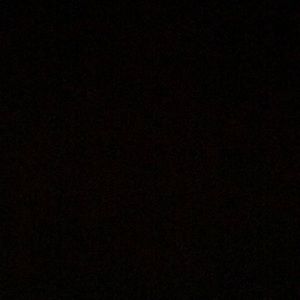 Meet your Posher, Abelardo